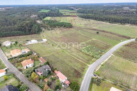 Terra a Ourenta, Coimbra, Ourenta - € 68.000 | Ref: ZMPT574574 - foto 7