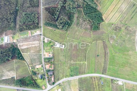 Terra a Ourenta, Coimbra, Ourenta - € 68.000 | Ref: ZMPT574574 - foto 9