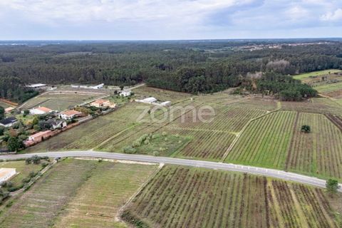 Terra a Ourenta, Coimbra, Ourenta - € 68.000 | Ref: ZMPT574574 - foto 10