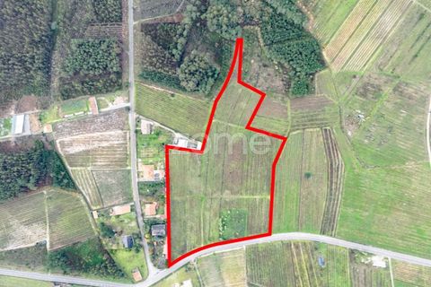 Terra a Ourenta, Coimbra, Ourenta - € 68.000 | Ref: ZMPT574574 - foto 14