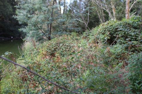 Helårsgrund i Viseu, Viseu, Viseu - € 26.500 | Ref: ZMPT572869 - foto 4