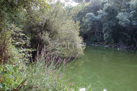 Helårsgrund i Viseu, Viseu, Viseu - € 26.500 | Ref: ZMPT572869 - foto 6