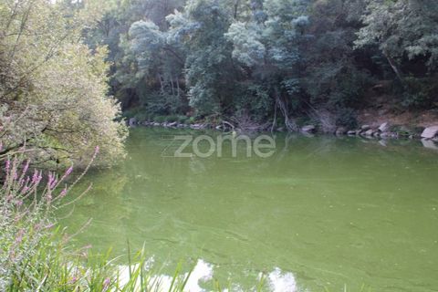 Helårsgrund i Viseu, Viseu, Viseu - € 26.500 | Ref: ZMPT572869 - foto 8