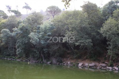 Helårsgrund i Viseu, Viseu, Viseu - € 26.500 | Ref: ZMPT572869 - foto 10
