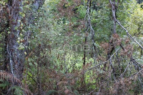 Helårsgrund i Viseu, Viseu, Viseu - € 26.500 | Ref: ZMPT572869 - foto 13