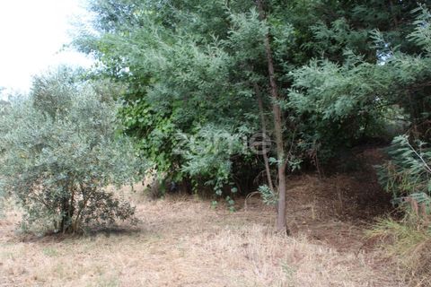 Helårsgrund i Viseu, Viseu, Viseu - € 26.500 | Ref: ZMPT572869 - foto 15