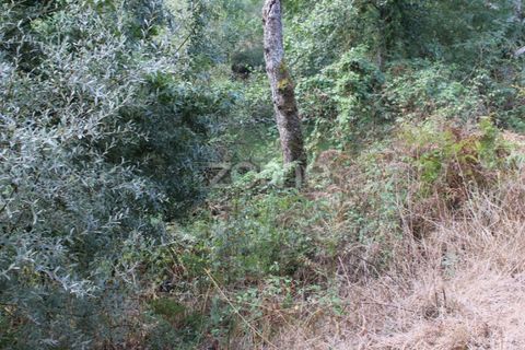 Helårsgrund i Viseu, Viseu, Viseu - € 26.500 | Ref: ZMPT572869 - foto 17