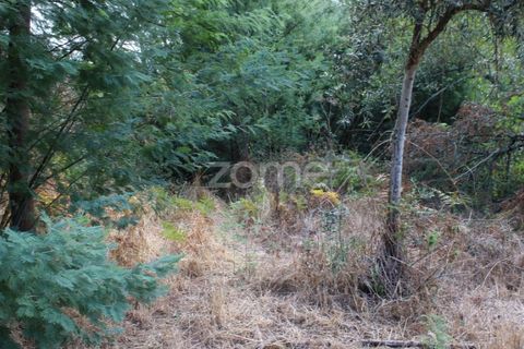 Helårsgrund i Viseu, Viseu, Viseu - € 26.500 | Ref: ZMPT572869 - foto 20