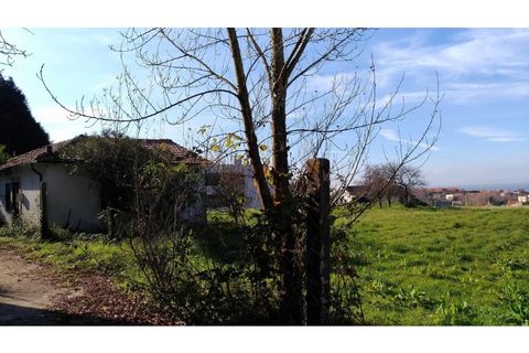 Helårsgrund i Gulpilhares e Valadares, Porto, Gulpilhares e Valadares - € 1.000.000 | Ref: RZ0062RZ - foto 8