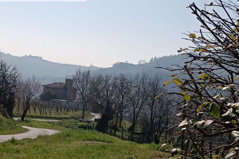 Villa a Casteggio, Pavia, Casteggio - € 320.000 | Ref: 2010 - foto 32