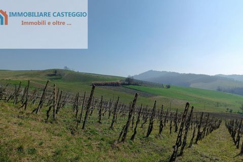 Villa a Casteggio, Pavia, Casteggio - € 320.000 | Ref: 2010 - foto 34