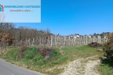 Villa a Casteggio, Pavia, Casteggio - € 320.000 | Ref: 2010 - foto 35
