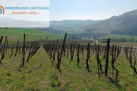 Villa a Casteggio, Pavia, Casteggio - € 320.000 | Ref: 2010 - foto 36