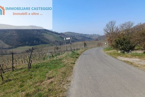 Villa a Casteggio, Pavia, Casteggio - € 320.000 | Ref: 2010 - foto 37