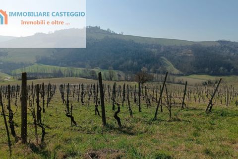Villa a Casteggio, Pavia, Casteggio - € 320.000 | Ref: 2010 - foto 38