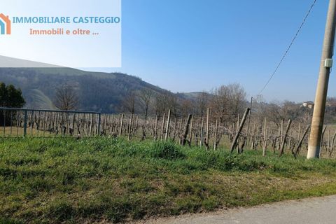 Villa a Casteggio, Pavia, Casteggio - € 320.000 | Ref: 2010 - foto 41