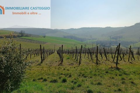 Villa a Casteggio, Pavia, Casteggio - € 320.000 | Ref: 2010 - foto 44