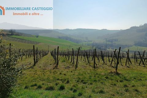 Villa a Casteggio, Pavia, Casteggio - € 320.000 | Ref: 2010 - foto 47