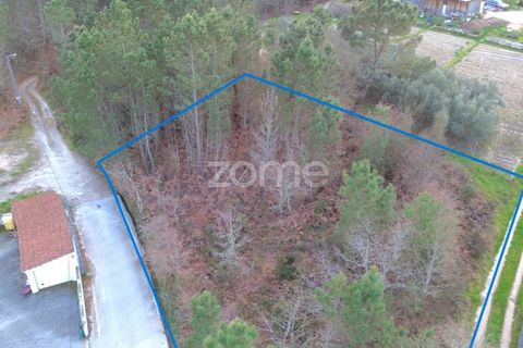 Grond in Calde, Viseu, Calde - € 32.000 | Ref: ZMPT566727 - foto 2