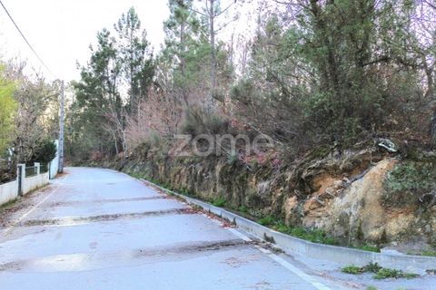 Grond in Calde, Viseu, Calde - € 32.000 | Ref: ZMPT566727 - foto 3