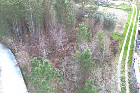 Grond in Calde, Viseu, Calde - € 32.000 | Ref: ZMPT566727 - foto 4