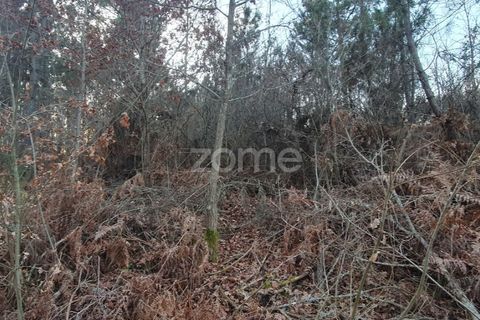 Grond in Calde, Viseu, Calde - € 32.000 | Ref: ZMPT566727 - foto 5