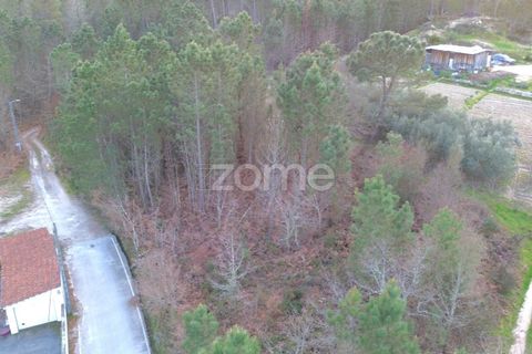 Grond in Calde, Viseu, Calde - € 32.000 | Ref: ZMPT566727 - foto 6