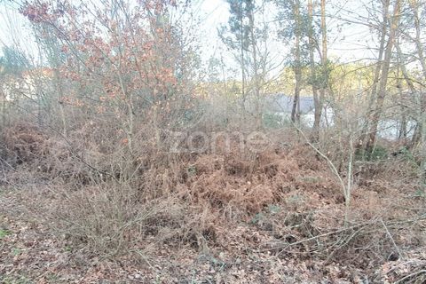 Grond in Calde, Viseu, Calde - € 32.000 | Ref: ZMPT566727 - foto 7