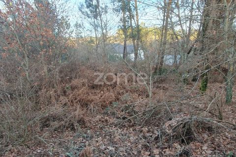 Grond in Calde, Viseu, Calde - € 32.000 | Ref: ZMPT566727 - foto 8