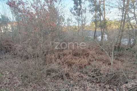 Grond in Calde, Viseu, Calde - € 32.000 | Ref: ZMPT566727 - foto 9