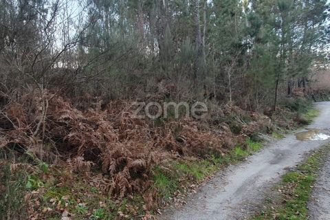 Grond in Calde, Viseu, Calde - € 32.000 | Ref: ZMPT566727 - foto 11