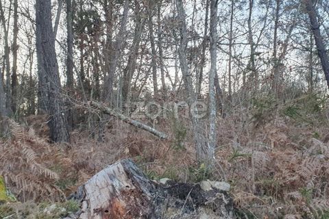Grond in Calde, Viseu, Calde - € 32.000 | Ref: ZMPT566727 - foto 12
