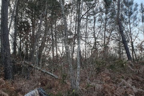 Grond in Calde, Viseu, Calde - € 32.000 | Ref: ZMPT566727 - foto 13