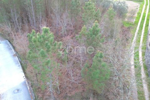Grond in Calde, Viseu, Calde - € 32.000 | Ref: ZMPT566727 - foto 14