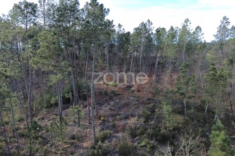 Helårsgrund i Calde, Viseu, Calde - € 20.000 | Ref: ZMPT566217 - foto 2