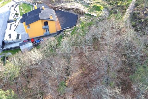Helårsgrund i Calde, Viseu, Calde - € 20.000 | Ref: ZMPT566217 - foto 3