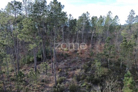 Helårsgrund i Calde, Viseu, Calde - € 20.000 | Ref: ZMPT566217 - foto 18