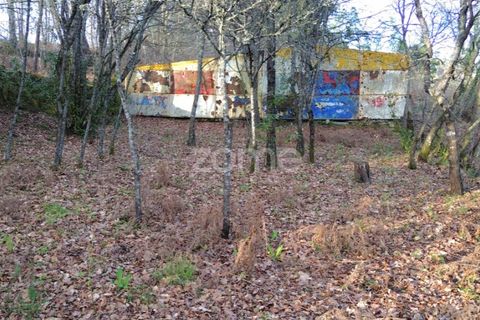 Helårsgrund i Calde, Viseu, Calde - € 20.000 | Ref: ZMPT566217 - foto 5