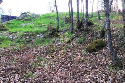 Helårsgrund i Calde, Viseu, Calde - € 20.000 | Ref: ZMPT566217 - foto 6