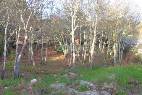 Helårsgrund i Calde, Viseu, Calde - € 20.000 | Ref: ZMPT566217 - foto 7