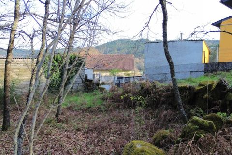 Helårsgrund i Calde, Viseu, Calde - € 20.000 | Ref: ZMPT566217 - foto 8