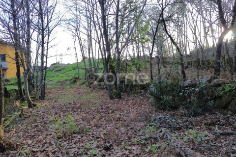 Helårsgrund i Calde, Viseu, Calde - € 20.000 | Ref: ZMPT566217 - foto 9