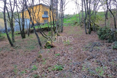 Helårsgrund i Calde, Viseu, Calde - € 20.000 | Ref: ZMPT566217 - foto 11