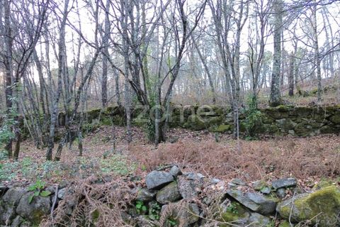 Helårsgrund i Calde, Viseu, Calde - € 20.000 | Ref: ZMPT566217 - foto 12
