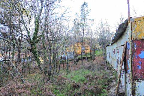 Helårsgrund i Calde, Viseu, Calde - € 20.000 | Ref: ZMPT566217 - foto 13