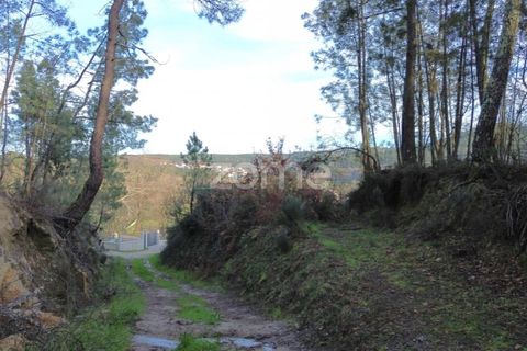 Helårsgrund i Calde, Viseu, Calde - € 20.000 | Ref: ZMPT566217 - foto 15