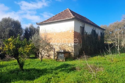 Villa i Pombal, Leiria, Pombal - € 82.500 | Ref: ZMPT573570 - foto 3
