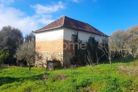 Villa i Pombal, Leiria, Pombal - € 82.500 | Ref: ZMPT573570 - foto 4