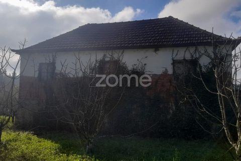 Villa i Pombal, Leiria, Pombal - € 82.500 | Ref: ZMPT573570 - foto 5