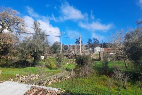 Villa i Pombal, Leiria, Pombal - € 82.500 | Ref: ZMPT573570 - foto 7